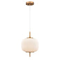 DVI Lighting - DVP40010BR-RIO - One Light Pendant - Mount Pearl - Brass With Ribbed Opal Glass