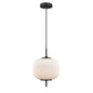 DVI Lighting - DVP40010GR-RIO - One Light Pendant - Mount Pearl - Graphite With Ribbed Opal Glass