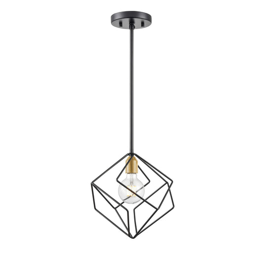 DVI Lighting - DVP44921BR+EB - One Light Pendant - Ashoona - Brass And Ebony