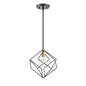 DVI Lighting - DVP44921BR+EB - One Light Pendant - Ashoona - Brass And Ebony