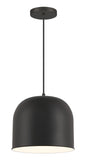 Minka-Lavery - 6202-66A - One Light Hanging Lantern - Vantage Pendants - Coal