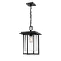 Millennium - 2625-PBK - One Light Outdoor Hanging Lantern - Adair - Powder Coated Black