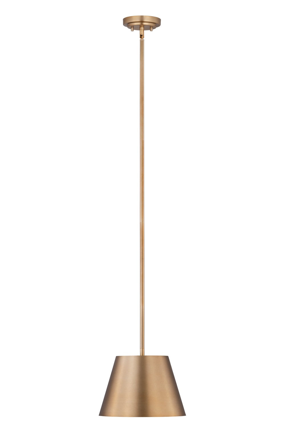 Z-Lite - 2307-12MGLD - One Light Pendant - Lilly - Modern Gold