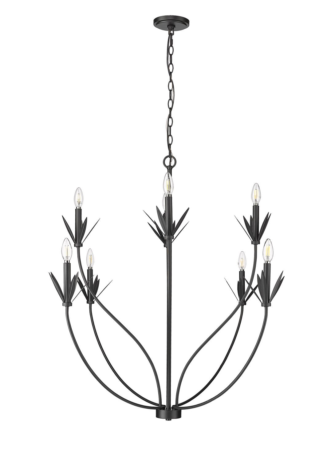 Millennium - 12708-MB - Eight Light Chandelier - Primrose - Matte Black