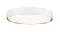 Z-Lite - 1014F20-MW-MGLD-LED - LED Flush Mount - Kawan - Matte White / Modern Gold