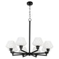 Quorum - 6221-8-59 - Eight Light Chandelier - Cassini - Matte Black