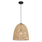 Vaxcel - P0404 - One Light Pendant - Nassau - Matte Black