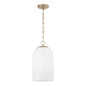 Capital Lighting - 355811MA-554 - One Light Pendant - Cleo - Matte Brass