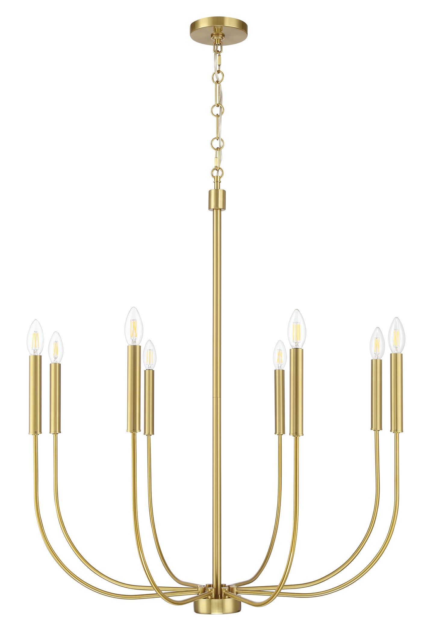 Craftmade - 59828-SB - Eight Light Chandelier - Traci - Satin Brass