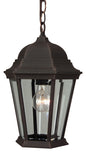Craftmade - Z251-RT - One Light Pendant - Straight Glass Cast - Rust