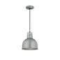 Millennium - RDBC10-GA - One Light Pendant - R Series - Galvanized