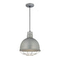 Millennium - RDBC12-GA - One Light Pendant - R Series - Galvanized