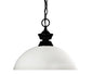 Z-Lite - 100701MB-DMO14 - One Light Pendant - Shark/Windsor - Matte Black