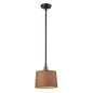 ELK Home - 66819-1 - One Light Mini Pendant - Insulator Glass - Oil Rubbed Bronze