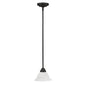 Millennium - 1701-BK - One Light Mini Pendant - Black