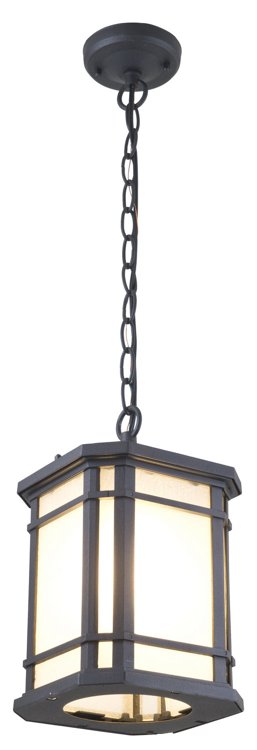 DVI Lighting - DVP142015BK-SSD - One Light Outdoor Pendant - Cardiff Outdoor - Black With Sandblasted Seedy Glass