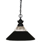 Z-Lite - 100701MB-RMB - One Light Pendant - Shark - Matte Black