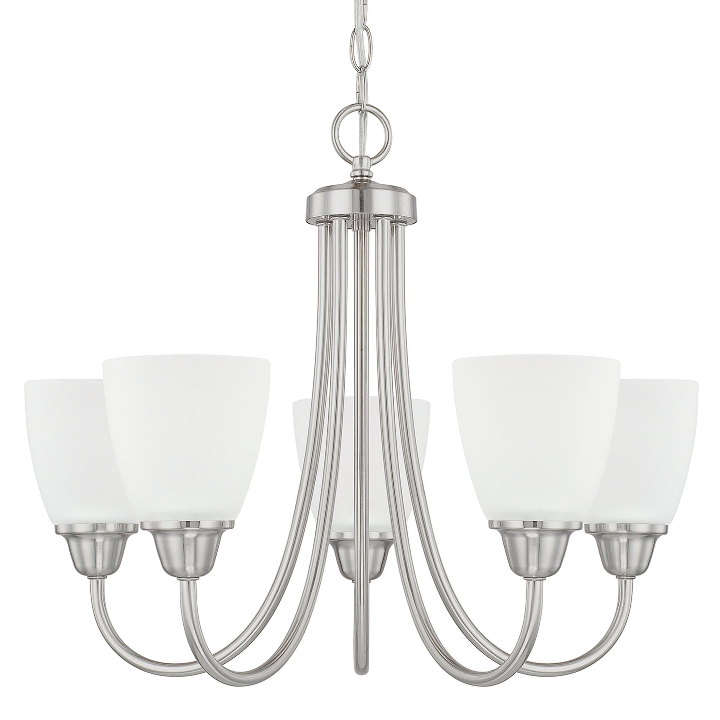 Capital Lighting - 415151BN-337 - Five Light Chandelier - Trenton - Brushed Nickel