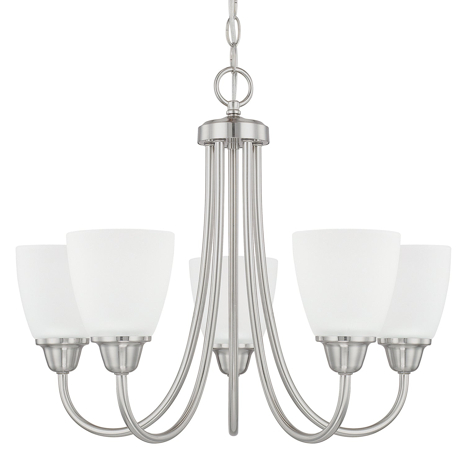 Capital Lighting - 415151BN-337 - Five Light Chandelier - Trenton - Brushed Nickel