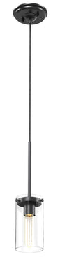 DVI Lighting - DVP9051GR-CL - One Light Pendant - Erin - Graphite With Clear Glass