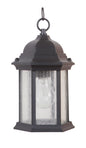Craftmade - Z291-TB-CS - One Light Pendant - Hex Style Cast - Textured Black