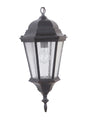 Craftmade - Z2911-OBG - One Light Pendant - Chadwick - Oiled Bronze Gilded