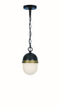 Crystorama - CAP-8505-MK-TG - One Light Outdoor Pendant - Capsule - Matte Black / Textured Gold