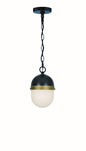 Crystorama - CAP-8506-MK-TG - Three Light Outdoor Pendant - Capsule - Matte Black + Textured Gold