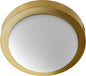 Quorum - 3505-11-80 - Two Light Ceiling Mount - 3505 Contempo Ceiling Mounts - Aged Brass