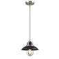 DVI Lighting - DVP31021GR+SN - One Light Mini-Pendant - Peggy'S Cove - Graphite And Satin Nickel
