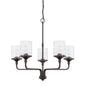 Capital Lighting - 428851BZ-451 - Five Light Chandelier - Colton - Bronze