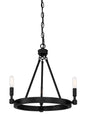 Designers Fountain - 92583-BK - Three Light Chandelier - Fiora - Black