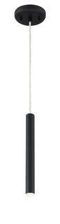 Z-Lite - 917MP12-MB-LED - LED Pendant - Forest - Matte black