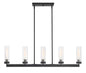 Designers Fountain - 95038-IG - Five Light Island Pendant - Braden - Iron (Graphite)