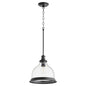 Quorum - 6193-12-69 - One Light Pendant - Ring Lighting Series - Textured Black w/ Clear/Seeded