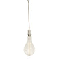 Bulbrite - 810114 - Pendant - Pendants - White